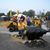 Scott Zapotocki's profile image