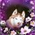 Maria Gabriela Moshuris's profile image
