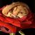 Edie Edwards Ramstad's profile image