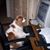 Rita Burrows's profile image