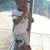 Tawanda Landrum's profile image