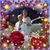 Kim Abbott's profile image