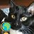 Jon R. Heckerman's profile image