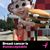 Patricia Lamb's profile image