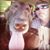John Potts's profile image
