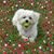 Kristy Detwiler's profile image