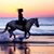 Anna Maria Volpe's profile image