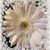 Kathy Kary's profile image