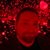 Philip Wolf's profile image