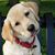 Carrie Byrum's profile image