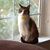 Margo Fancher's profile image