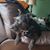 Gail Meisenhelter's profile image