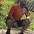 David Mikel Pemberton's profile image