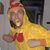 William Pruitt's profile image