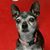 Jennifer Sealey's profile image