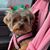Kimberly Bowen-Glasby's profile image