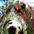Deanna Brashear's profile image