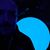 Gregg Chapelle's profile image