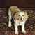 Louann Smith's profile image