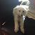 Maria Delpino's profile image