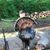 Johnny Johnson's profile image