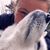 Kaylee Reny's profile image