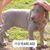 Crystal Marion's profile image