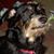 Maureen Stock's profile image