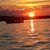 Sally Heiser's profile image