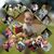 Brittany Shaffer's profile image
