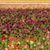 Marie Reamer's profile image