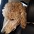 Robbye Deaton Watts's profile image