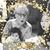 Deb Smith Dooley's profile image