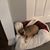 Janet Umlah Goble's profile image