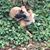Trisha Edwards's profile image