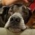 George Howard Crenshaw's profile image