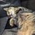 Molly Shumway's profile image