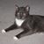 Debbie Lou Nichols's profile image