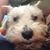Kay Farmer's profile image
