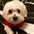 Lloyd Burson's profile image