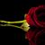 Sutil Sutil's profile image