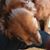 Karen Hagan's profile image