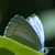 Sharon Laker's profile image