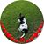 Andrea Hayes's profile image