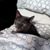 Stephannie Lynne's profile image