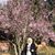 Nawal Shehade Akkad's profile image
