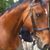 Sheree Hubber's profile image