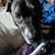 Maryann Kapas's profile image