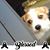 Michael Scott Barner's profile image