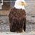 Jake Huber's profile image